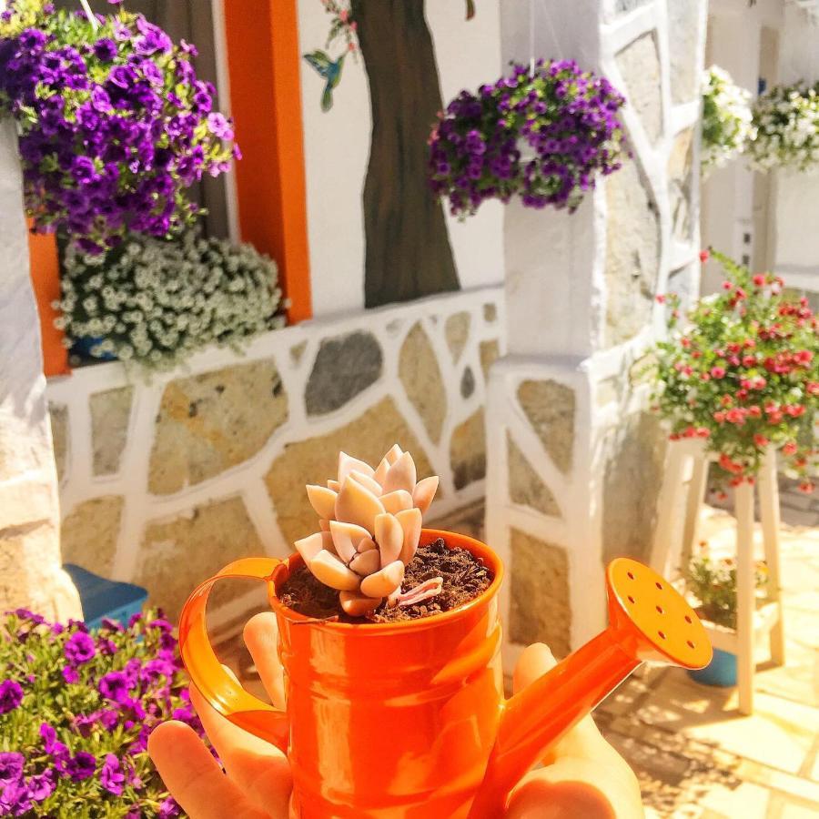 Bodrum Sade Pension Bagian luar foto